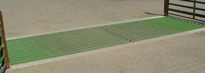 Cattle Guards